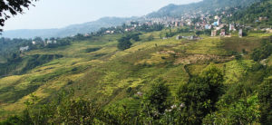 Nepal rice fields landscape