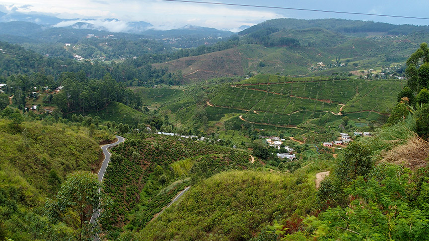 Sri Lanka trains southern hills