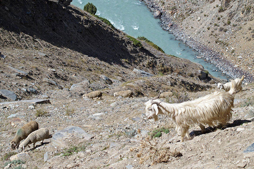 Keylong Lahaul India hike