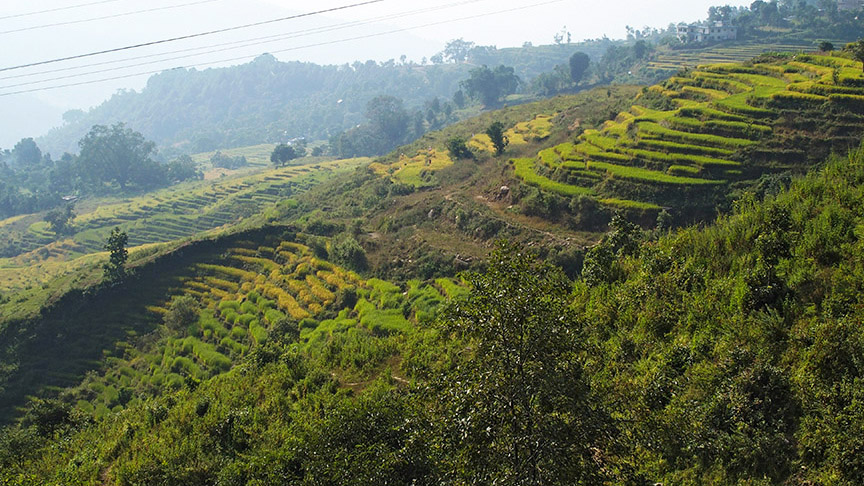 Nepal rice fields foggy hills