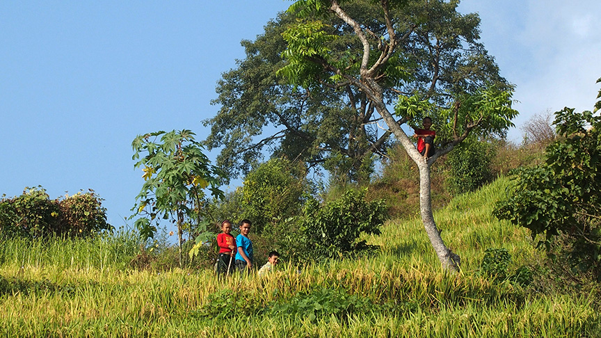 Nepal day hike village