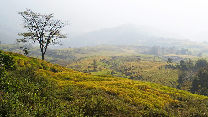 Nepal misty hills landscape