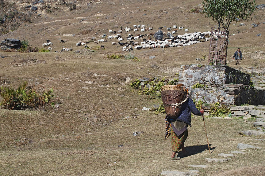 Nepal Himalayas