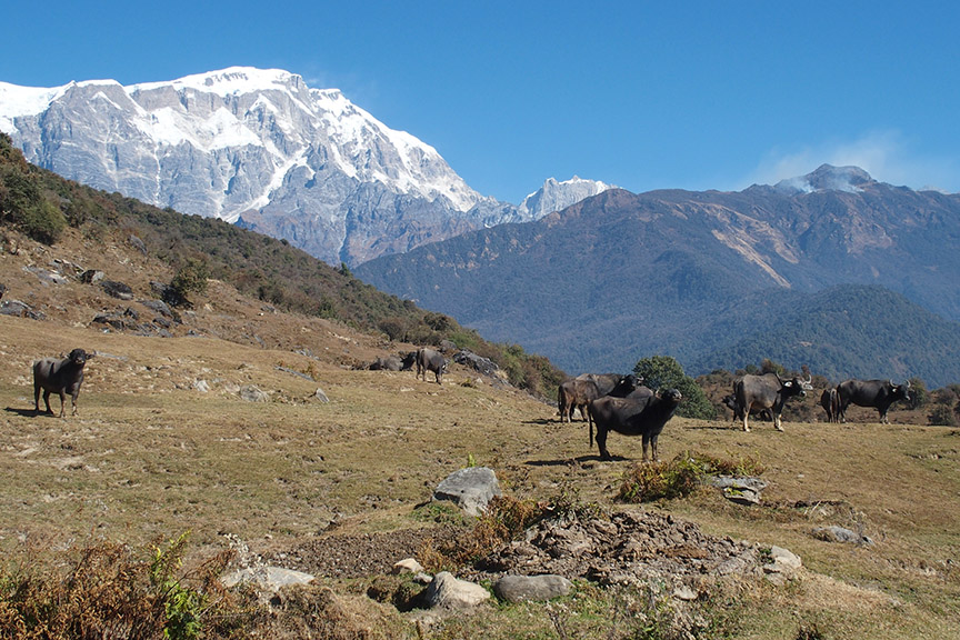 Nepal Himalayas